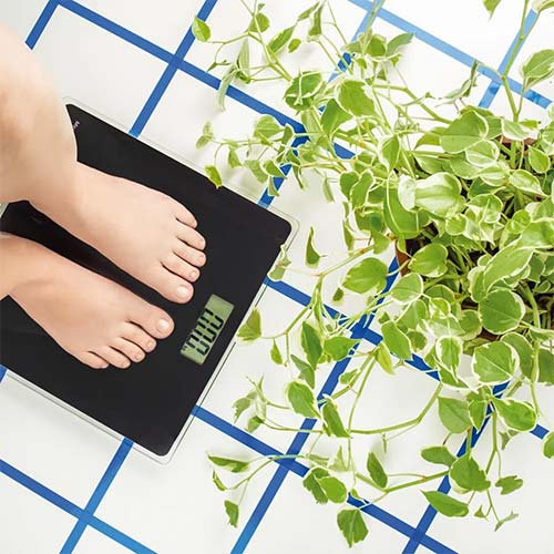 Balanza Digital Mor