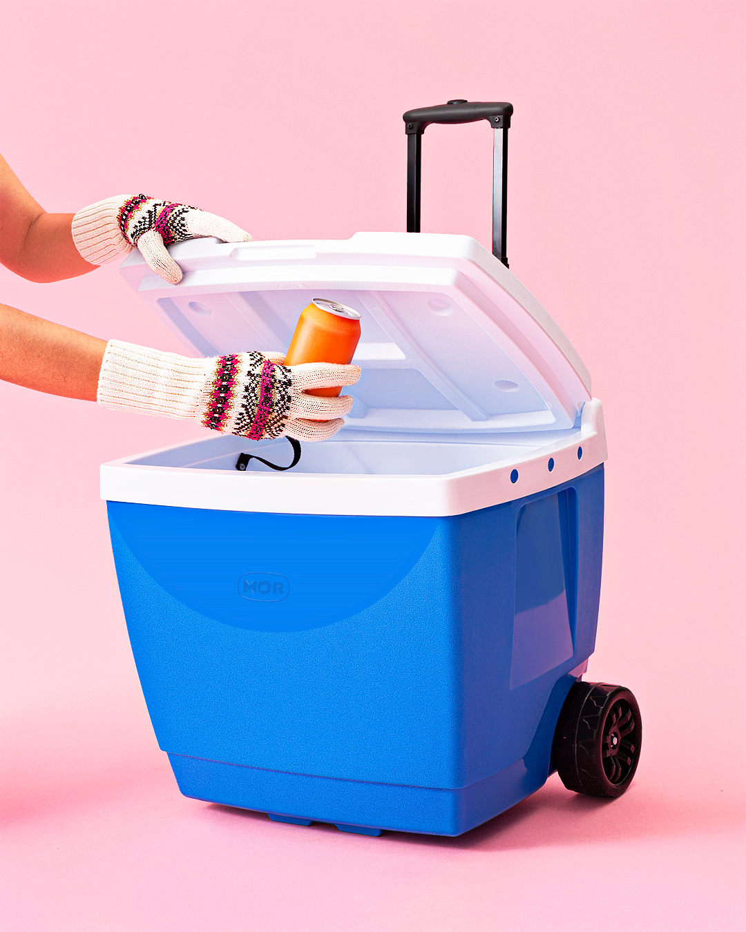 Conservadoras 42Lt. Con Rueditas Mor